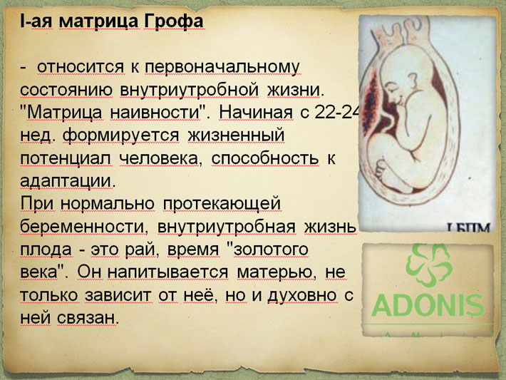 Четыре матрицы Грофа