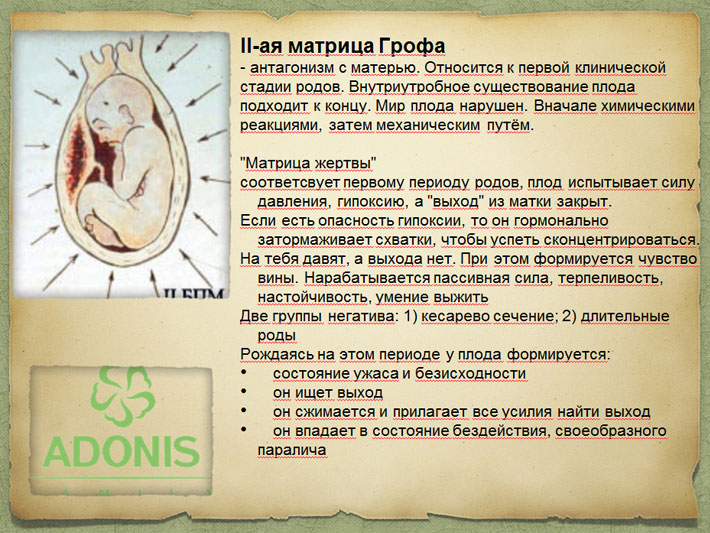 Четыре матрицы Грофа