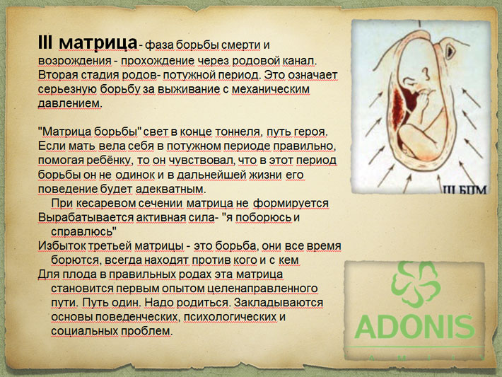 Четыре матрицы Грофа