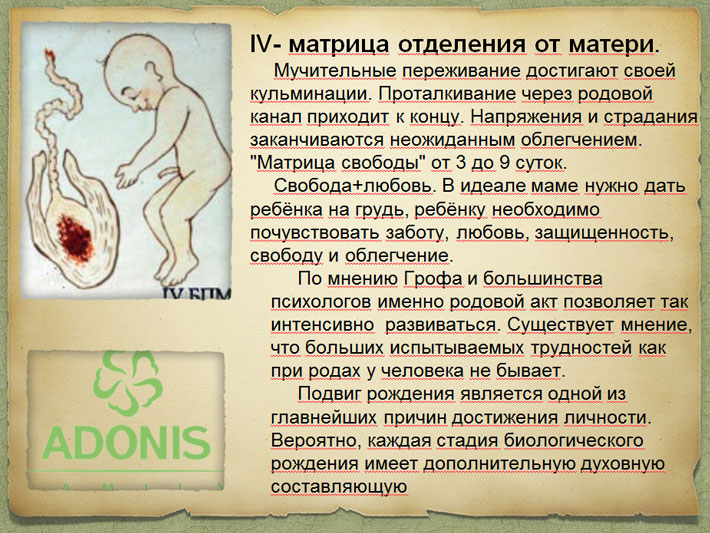 Четыре матрицы Грофа